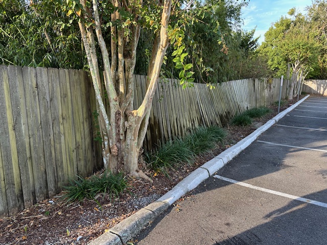 Leaning wood fence restored in Orlando