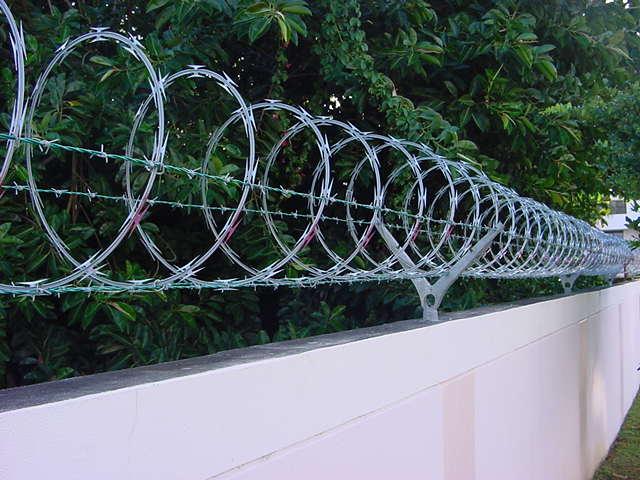 Commercial razor wire installation on a security wall for perimeter protection in Orlando, FL.