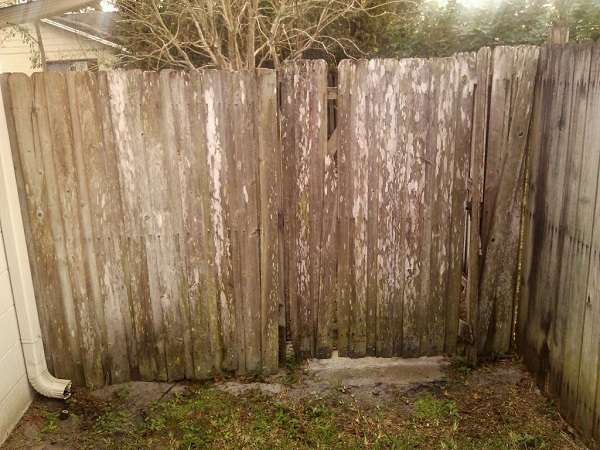 damaged-wood-fence-gate-before-repair-orlando.jpg