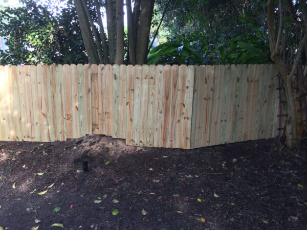Wood privacy fence repair around mature trees in Baldwin Park Orlando FL