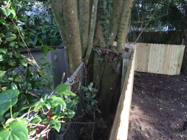 Wood fence repair around existing trees and landscaping in Baldwin Park Orlando